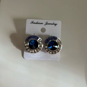 Elegant Blue and Silver Earrings